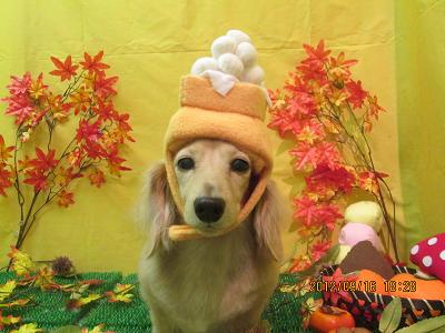 ファイル 4895-1.jpg