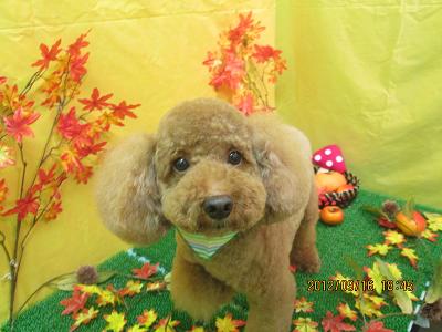 ファイル 4896-2.jpg