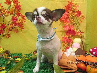 ファイル 4897-2.jpg