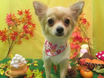 ファイル 4898-1.jpg