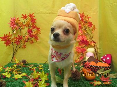 ファイル 4898-2.jpg