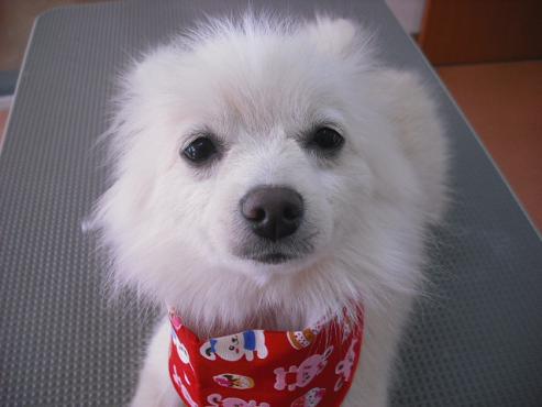 ファイル 49-1.jpg