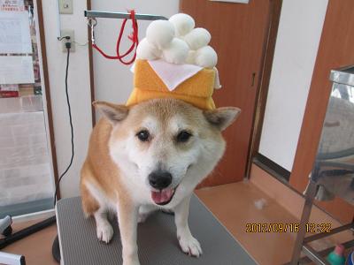 ファイル 4900-1.jpg