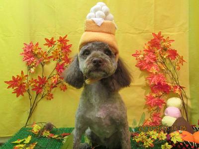 ファイル 4904-1.jpg