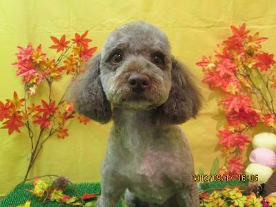 ファイル 4904-2.jpg