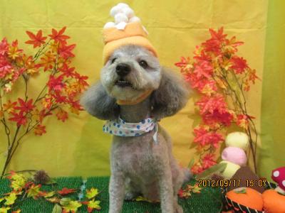 ファイル 4905-2.jpg