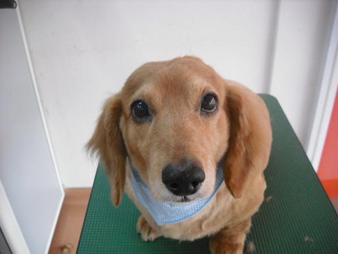 ファイル 491-1.jpg