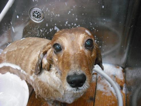 ファイル 491-2.jpg