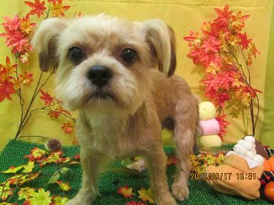 ファイル 4911-2.jpg