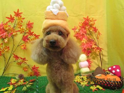 ファイル 4912-2.jpg