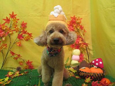 ファイル 4917-2.jpg