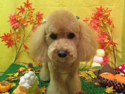 ファイル 4918-2.jpg