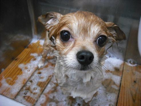 ファイル 492-2.jpg