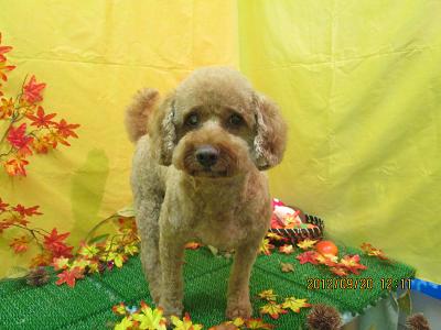 ファイル 4920-2.jpg