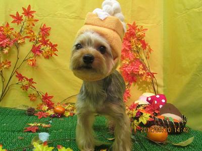 ファイル 4922-2.jpg