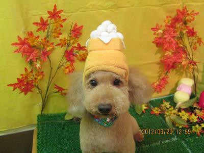 ファイル 4924-2.jpg