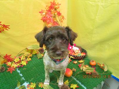 ファイル 4927-1.jpg