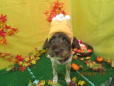 ファイル 4927-2.jpg