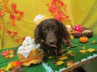 ファイル 4928-2.jpg