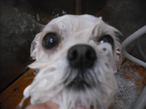 ファイル 493-2.jpg