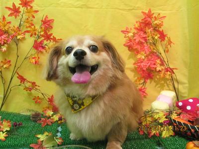 ファイル 4930-2.jpg