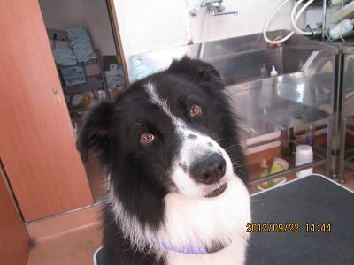 ファイル 4932-1.jpg