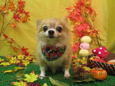 ファイル 4936-2.jpg