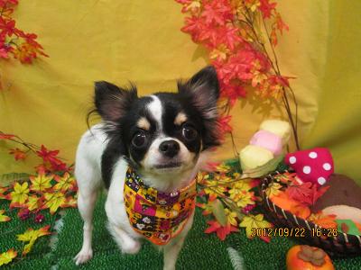 ファイル 4937-2.jpg