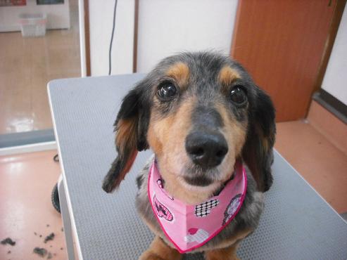 ファイル 494-1.jpg