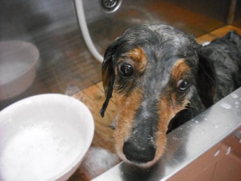 ファイル 494-3.jpg