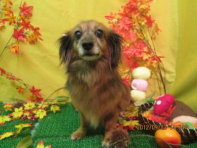 ファイル 4941-2.jpg