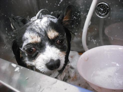 ファイル 495-2.jpg