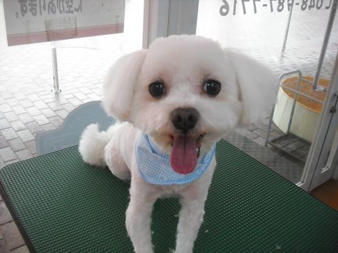 ファイル 496-1.jpg