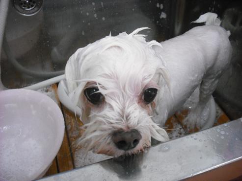 ファイル 496-2.jpg