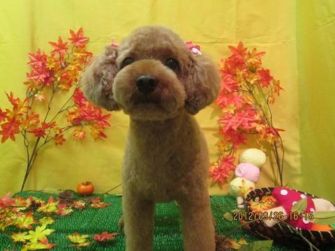 ファイル 4969-2.jpg