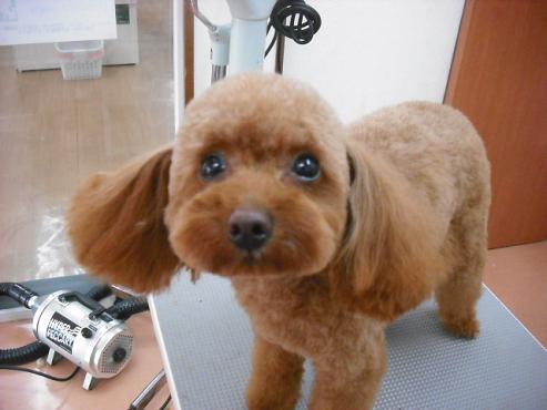 ファイル 497-1.jpg