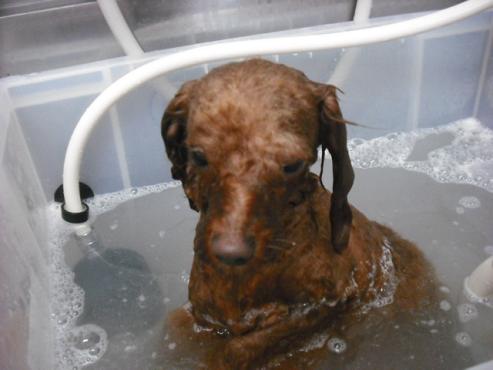 ファイル 497-2.jpg