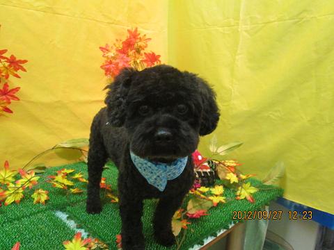 ファイル 4976-2.jpg