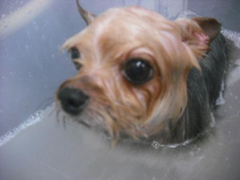 ファイル 498-2.jpg