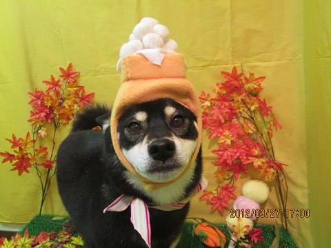 ファイル 4980-1.jpg