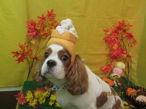 ファイル 4986-2.jpg