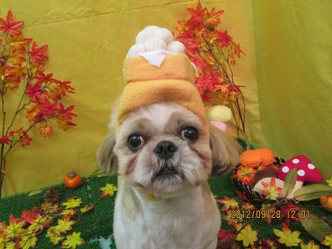 ファイル 4987-1.jpg