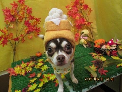 ファイル 4989-1.jpg