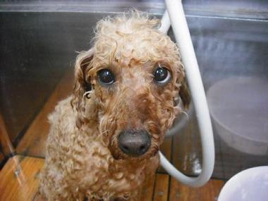 ファイル 499-2.jpg