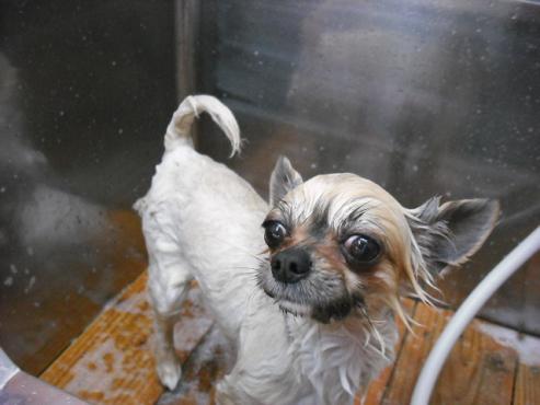 ファイル 5-2.jpg