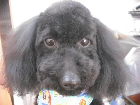 ファイル 50-1.jpg