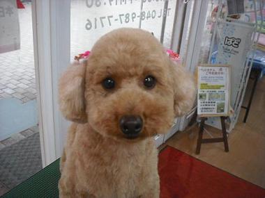 ファイル 500-1.jpg