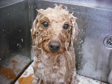 ファイル 500-2.jpg