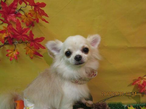 ファイル 5008-2.jpg