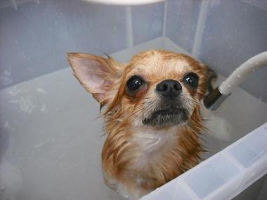 ファイル 501-2.jpg